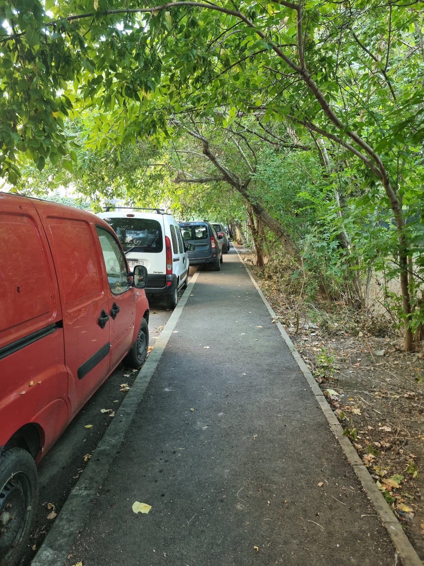 Problemă de Infrastructură pe Strada Sergent Șerbănică Vasile 5